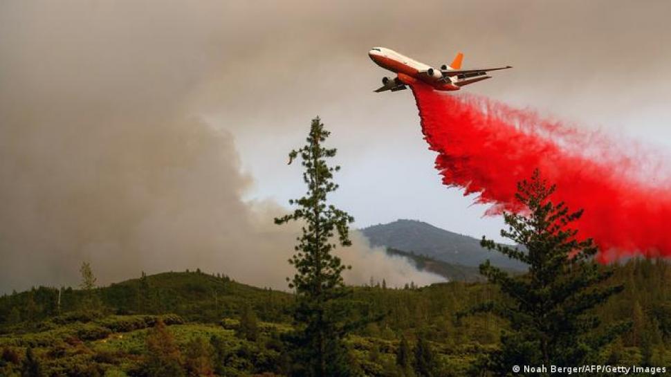 Crece Incendio Forestal Que Amenaza Icónicas Secuoyas Gigantes De ...